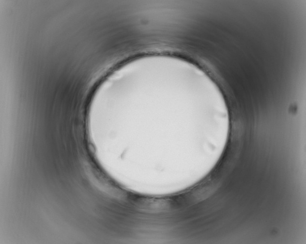 X0000111890443200909031908