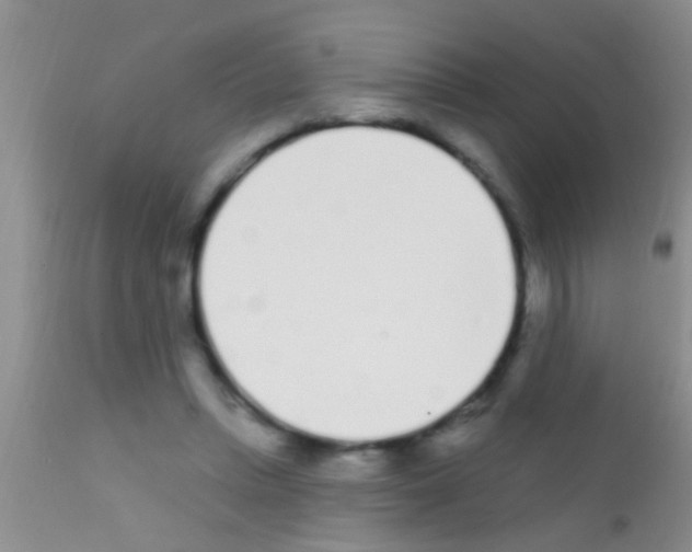 X0000111890447200909031908