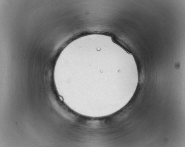 X0000111890448200909031908