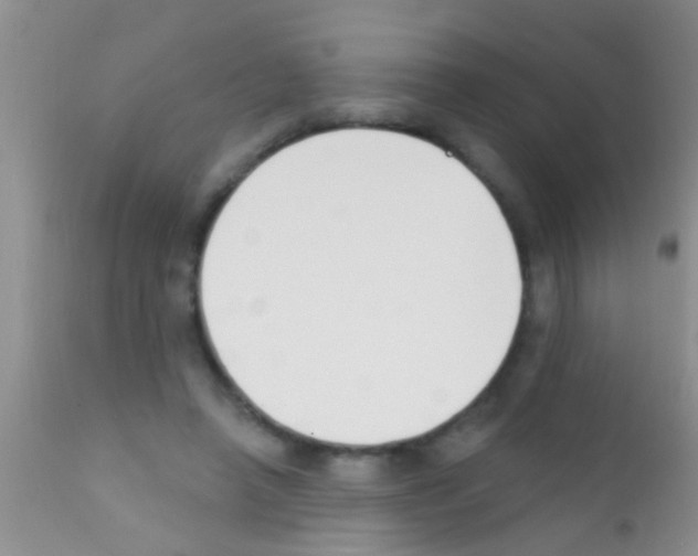 X0000111890450200909031908