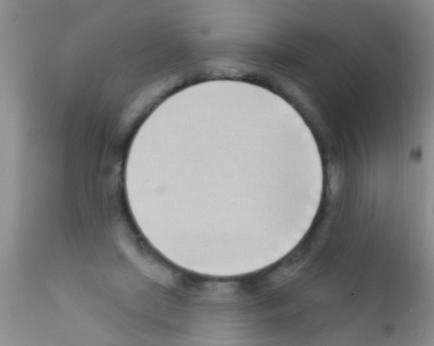 X0000111890451200909031908