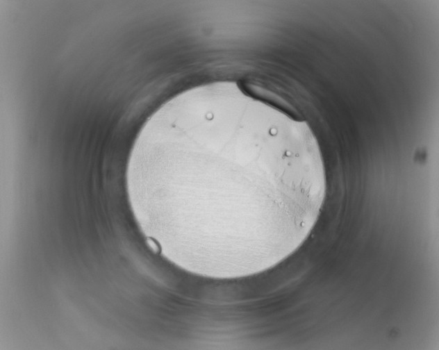 X0000111890452200909031908