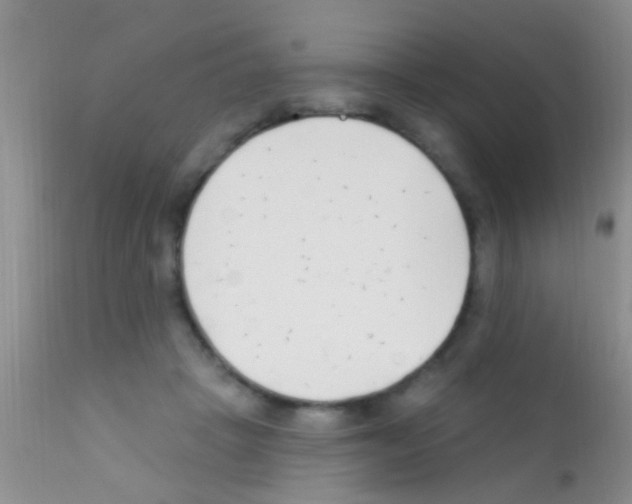 X0000111890457200909031908