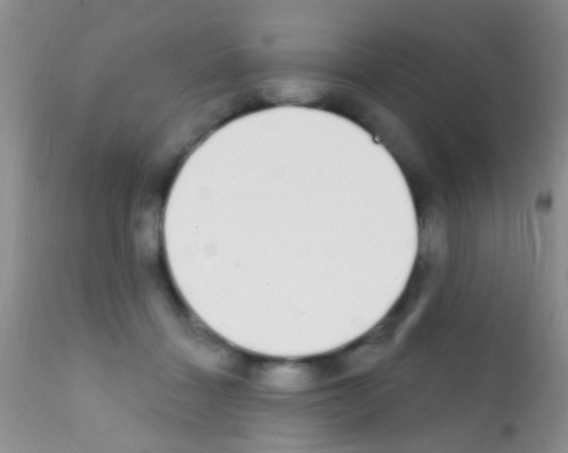 X0000111890460200909031908