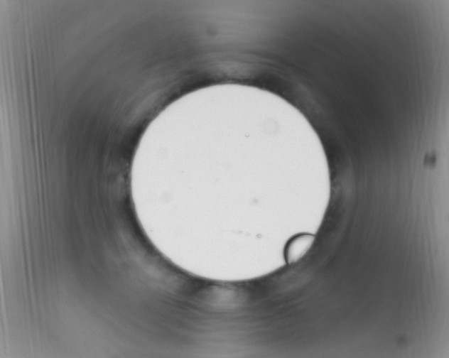 X0000111890464200909031908