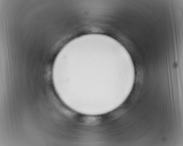 X0000111890465200909031908