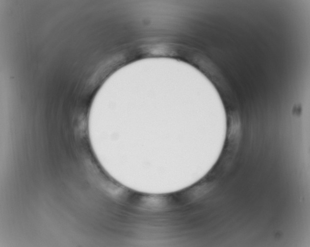 X0000111890469200909031909