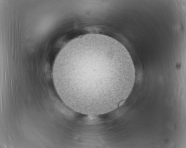 X0000111890477200909031909