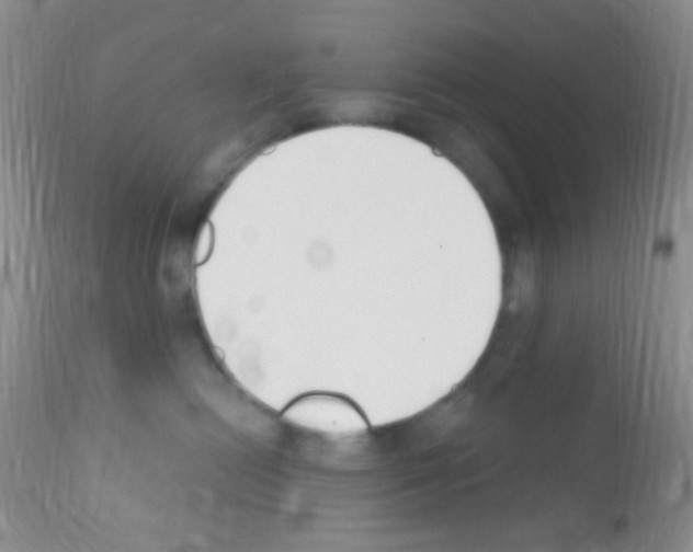 X0000111890478200909031909