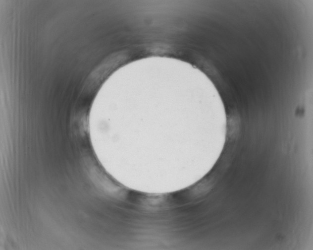 X0000111890479200909031909