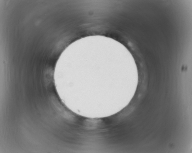 X0000111890480200909031909