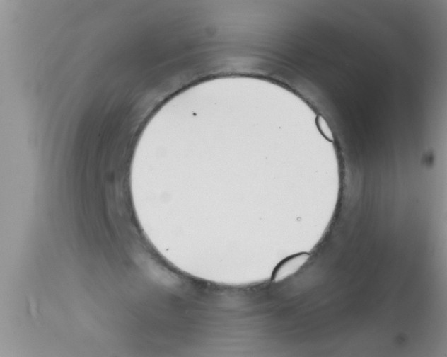 X0000111890481200909031908