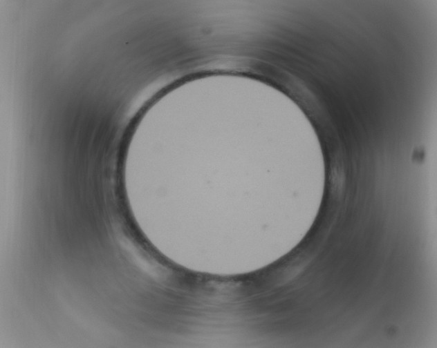 X0000111890484200909031908