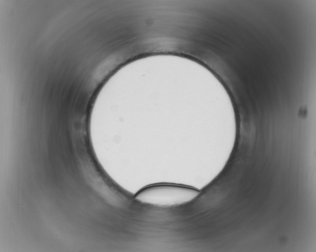 X0000111890485200909031908