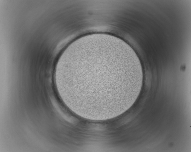 X0000111890486200909031908