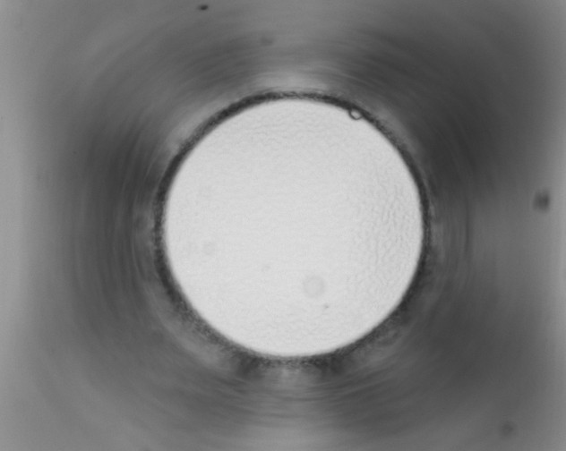 X0000111890487200909031908