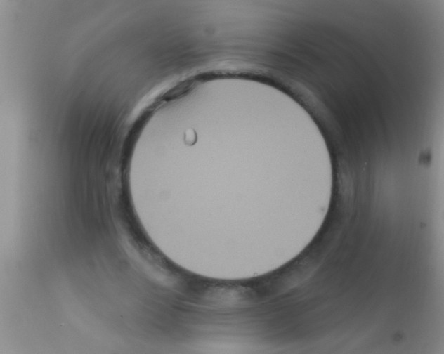 X0000111890488200909031908