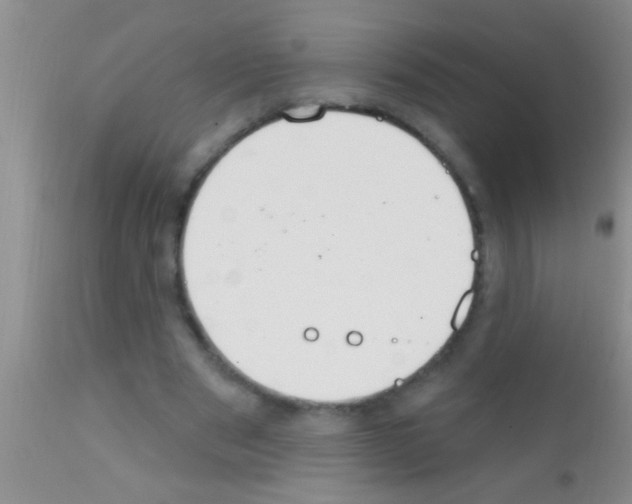 X0000111890489200909031908