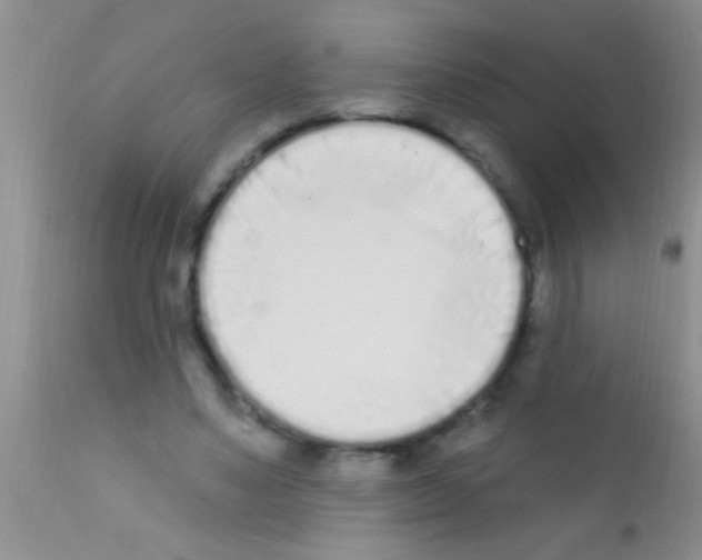 X0000111890491200909031908