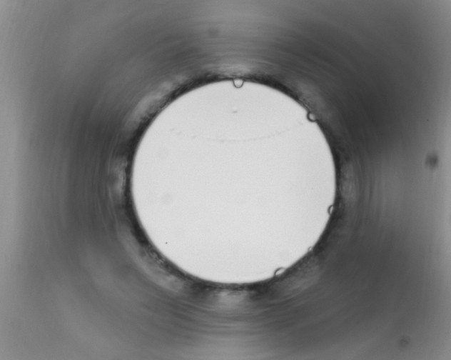 X0000111890495200909031908