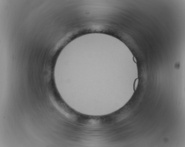 X0000111890496200909031908