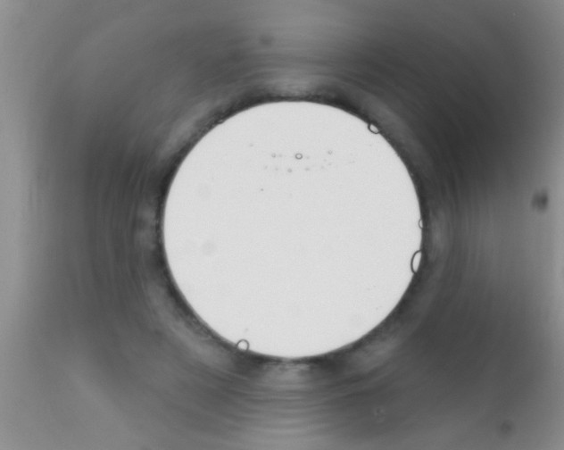 X0000111890497200909031908