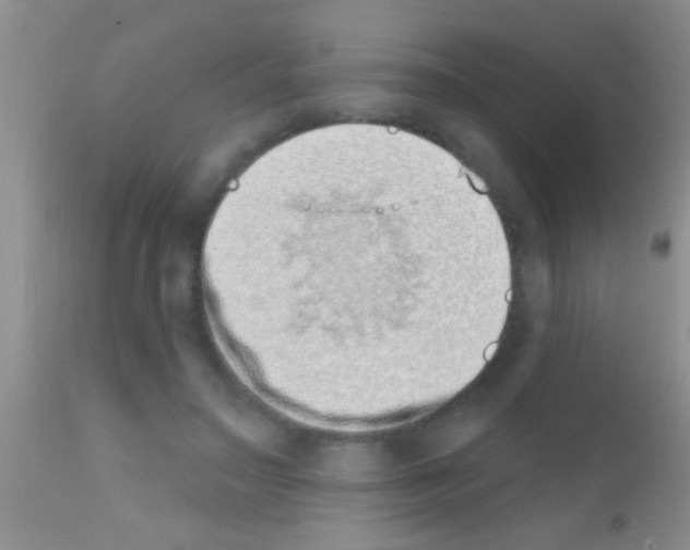 X0000111890499200909031908