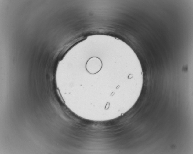 X0000111890500200909031908