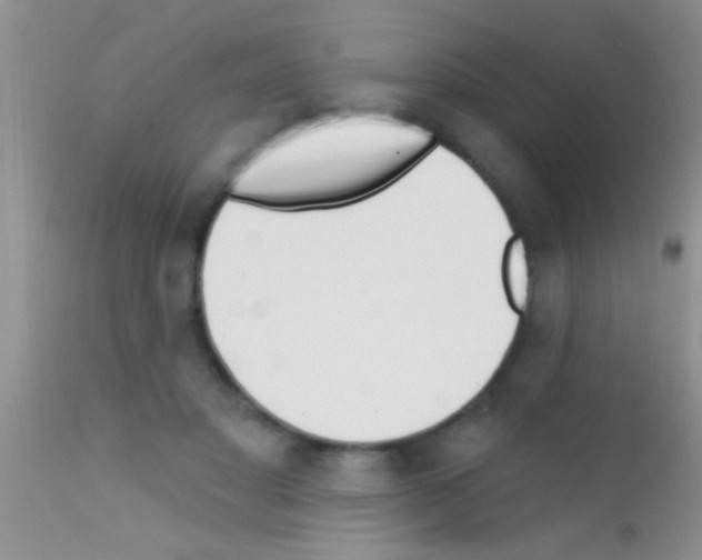 X0000111890501200909031908