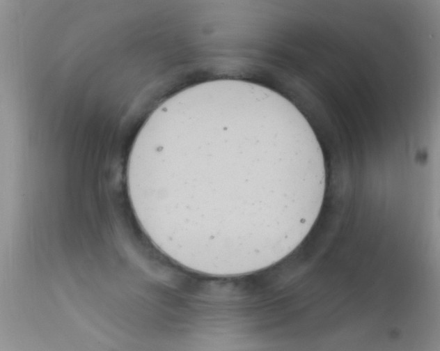 X0000111890502200909031908