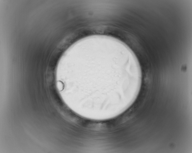 X0000111890503200909031908