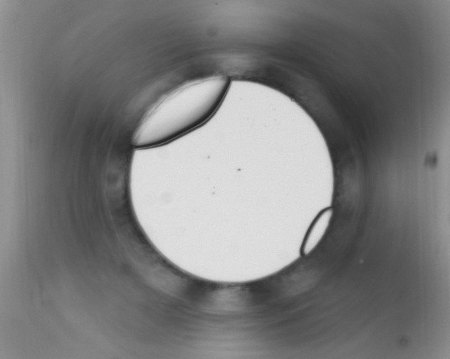 X0000111890505200909031908