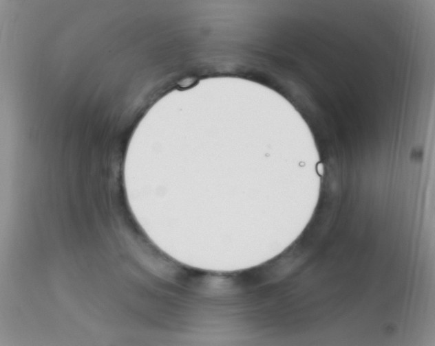 X0000111890509200909031908