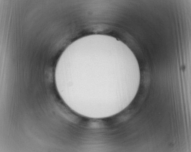 X0000111890510200909031908