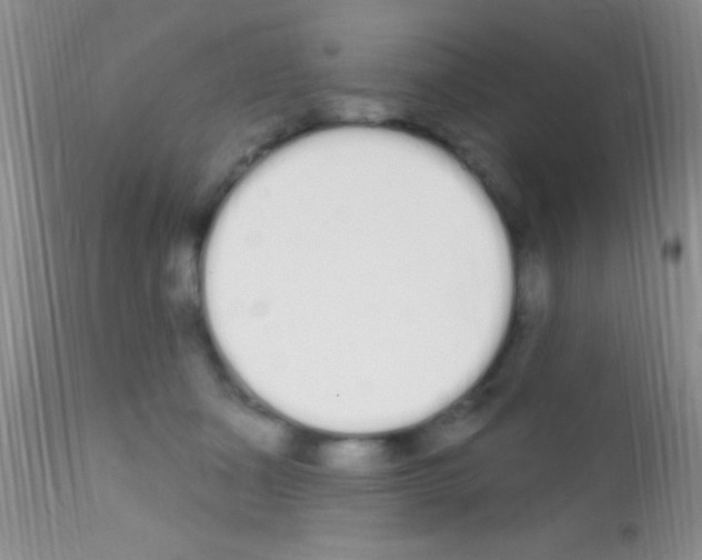 X0000111890511200909031908