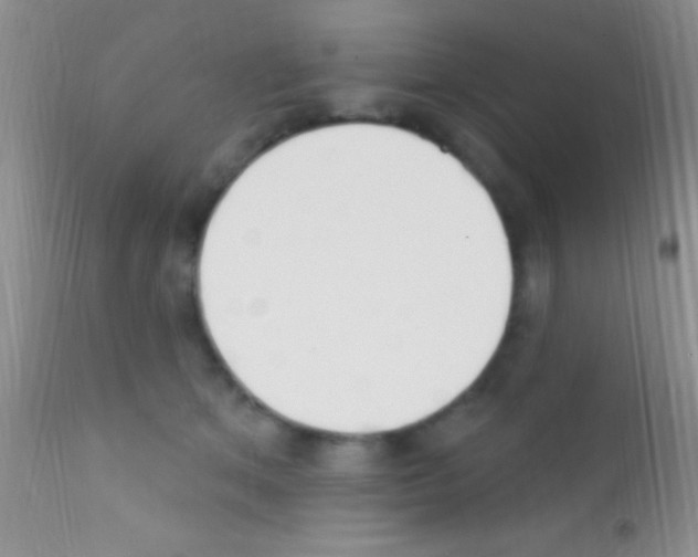 X0000111890513200909031908