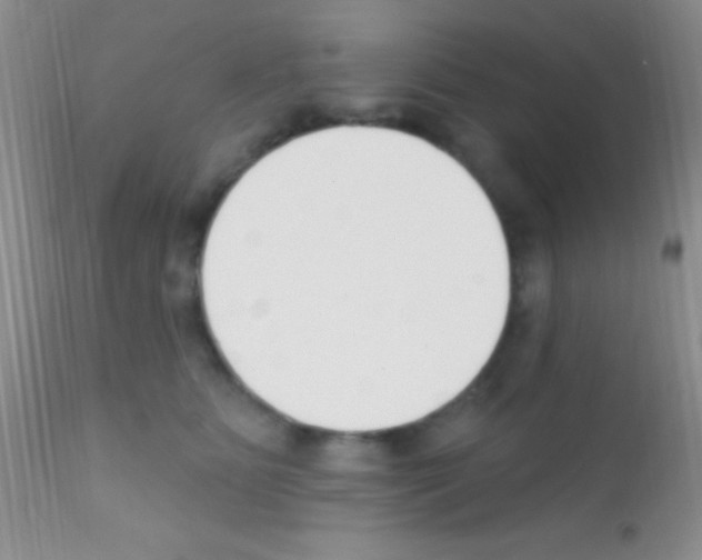 X0000111890515200909031908