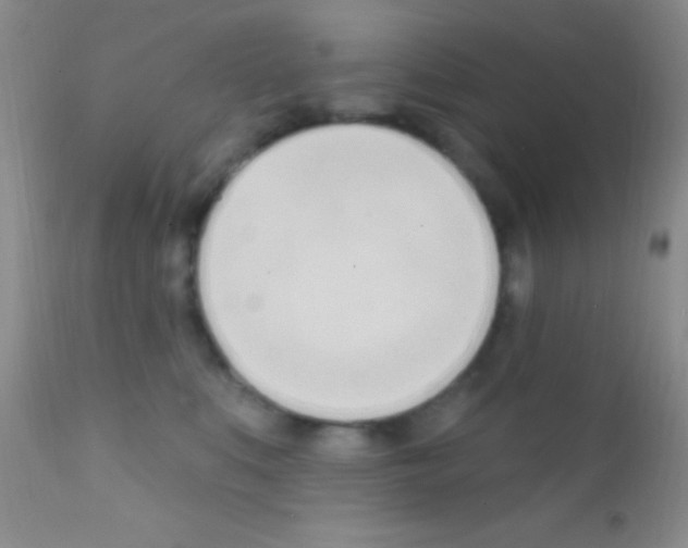 X0000111890519200909031908