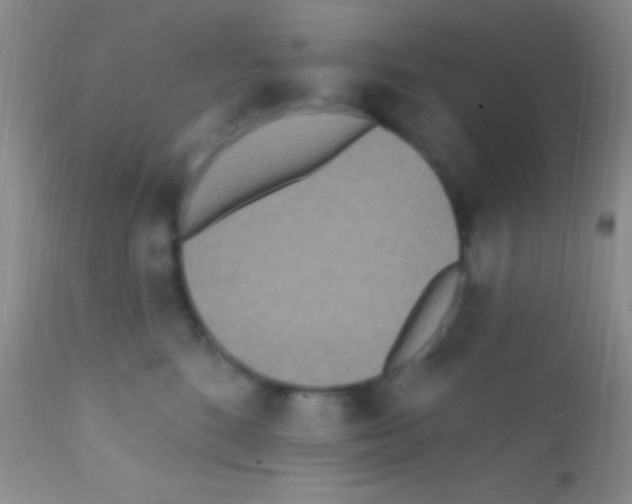 X0000111890520200909031907