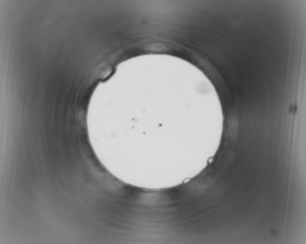 X0000111890521200909031907