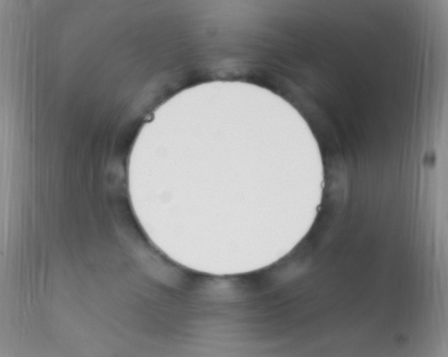 X0000111890523200909031907