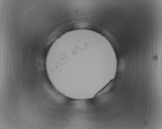 X0000111890524200909031907