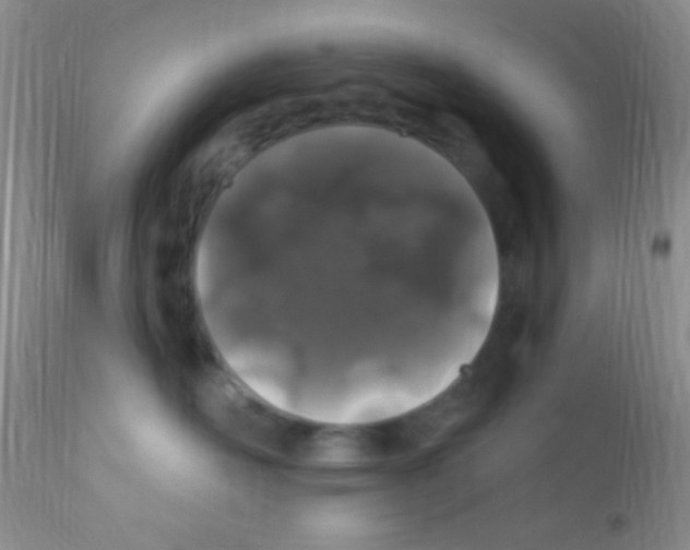 X0000111890526200909031907