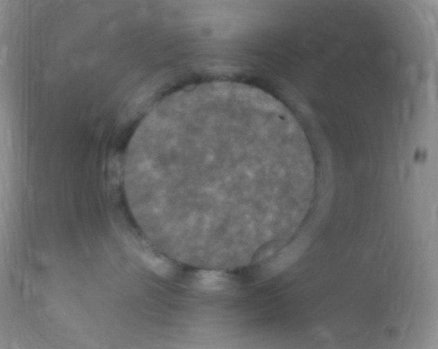 X0000111890528200909031907