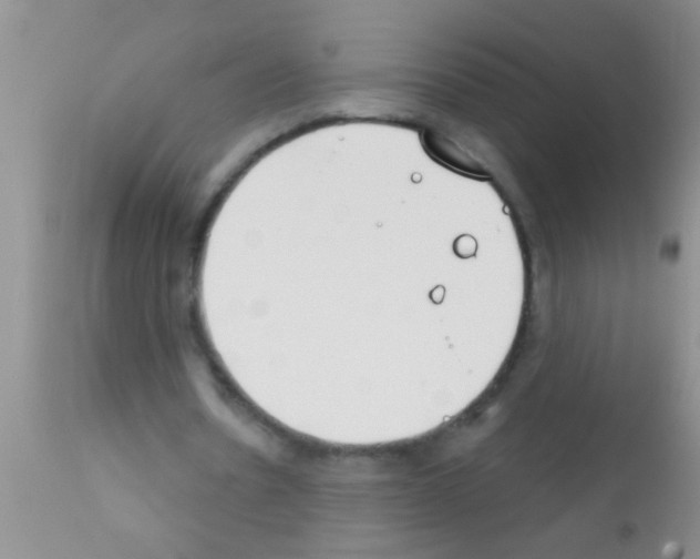 X0000111890530200909031907