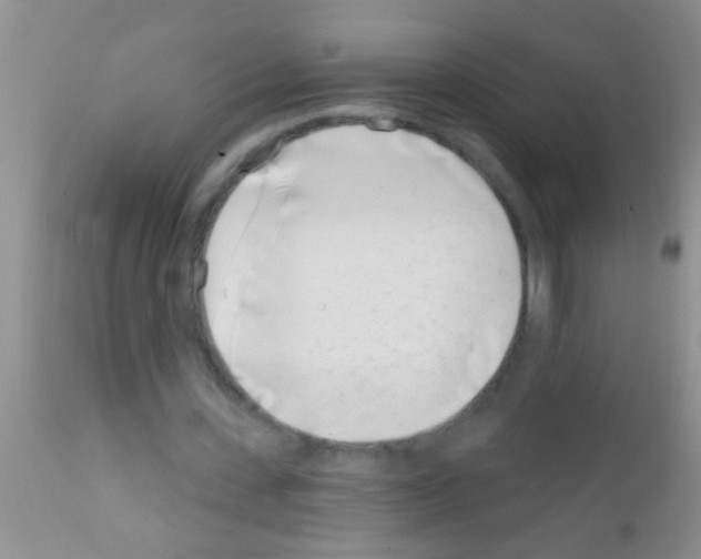 X0000111890531200909031907