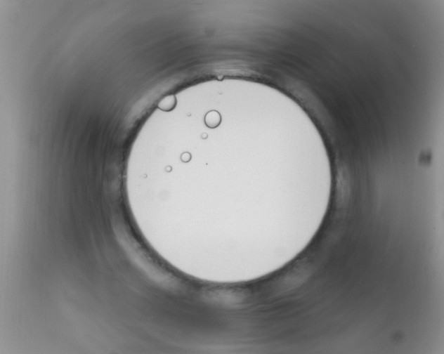 X0000111890533200909031907