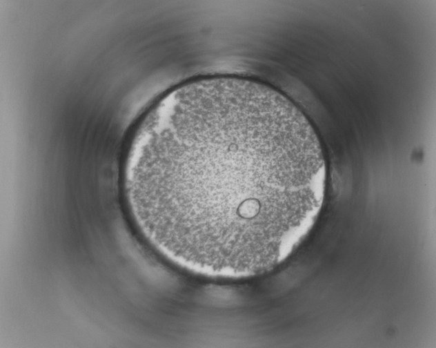 X0000111890534200909031907