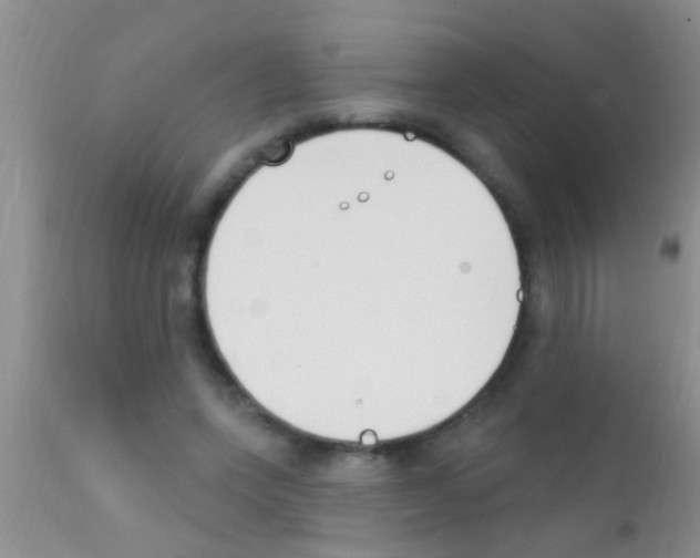 X0000111890543200909031907