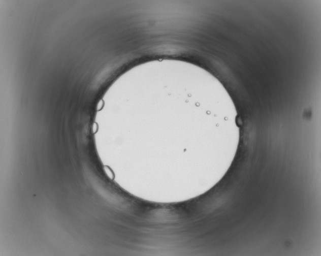 X0000111890544200909031907